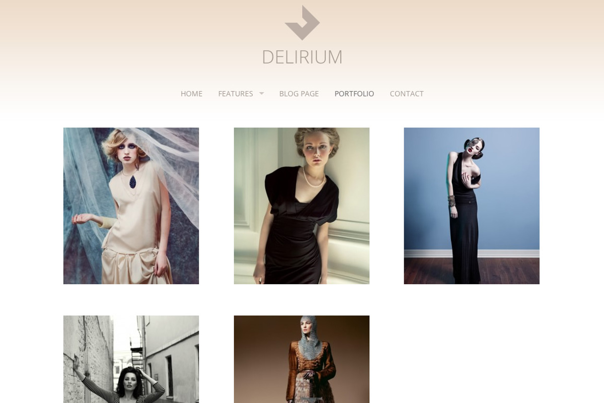 Delirium - Fashion Portfolio Theme, a WordPress Template by Viva Themes (Photo 2 of 2)