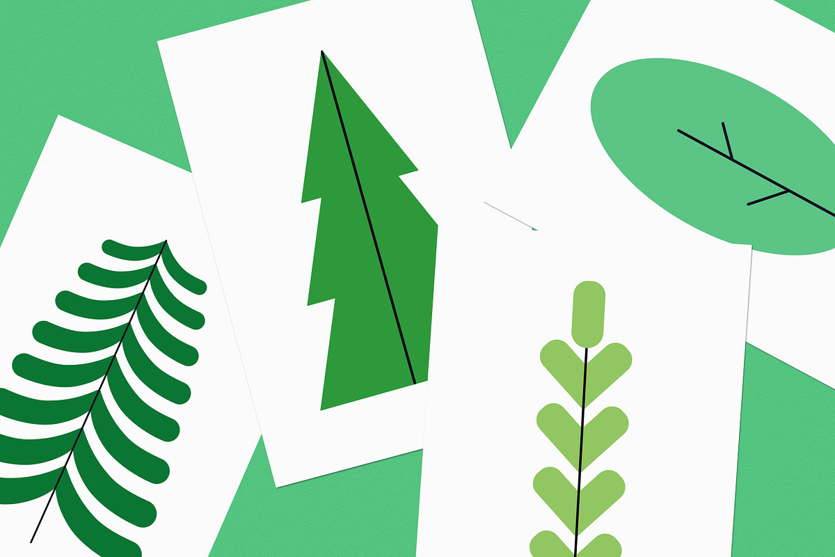 Forest trees, green plants set, a Decorative Illustration by Good Studio (Photo 2 of 3)