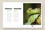 Magazine Template 10, a Magazine Template by pmvch (Thumbnail 12 of 12)