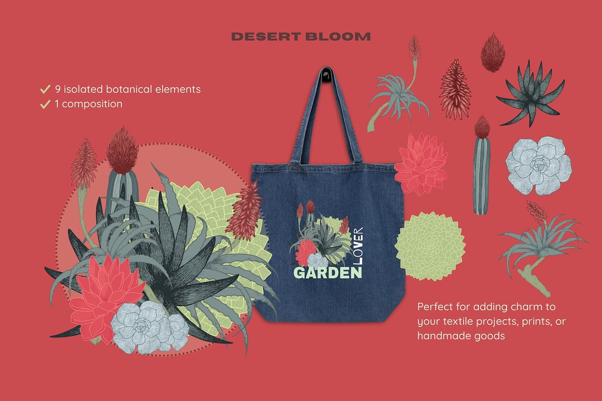 Desert Bloom-Set, a Decorative Illustration by StudioLapis (Photo 2 of 8)