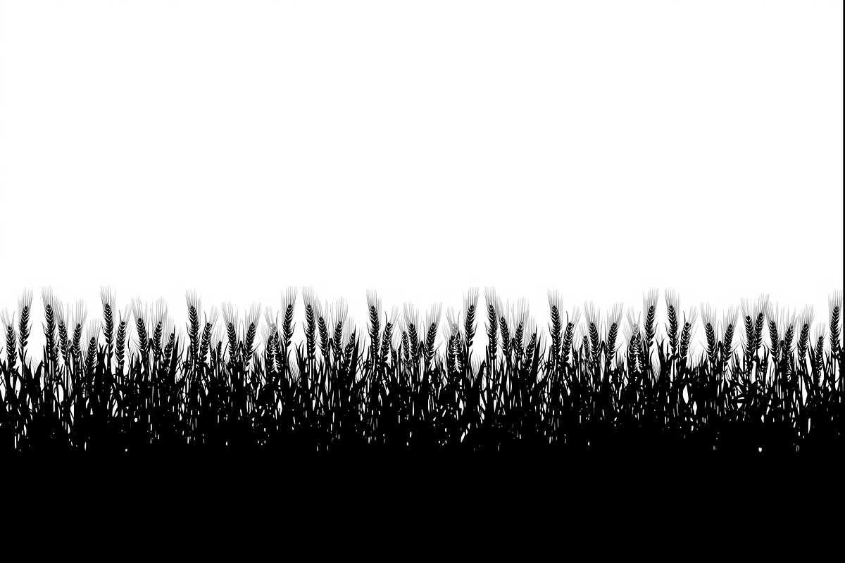 Wheat Field Border Bundle, an Illustration by Designs_River (Photo 6 of 9)
