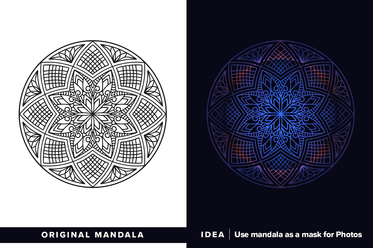 530 Vector Mandala Ornaments, an Animal Illustration by pixaroma (Photo 17 of 55)