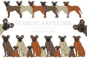 Saint Miguel Cattle Dog Clipart