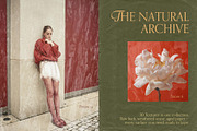Paper Wood Texture Overlays White, a Texture Graphic by Yuliya Derbisheva (Thumbnail 2 of 11)
