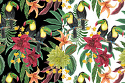 Watercolor toucan patterns, a Pattern Graphic by ramika (Thumbnail 3 of 5)
