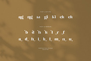 Backira Luxury Serif Font, a Serif Font by Perfectype (Thumbnail 8 of 8)