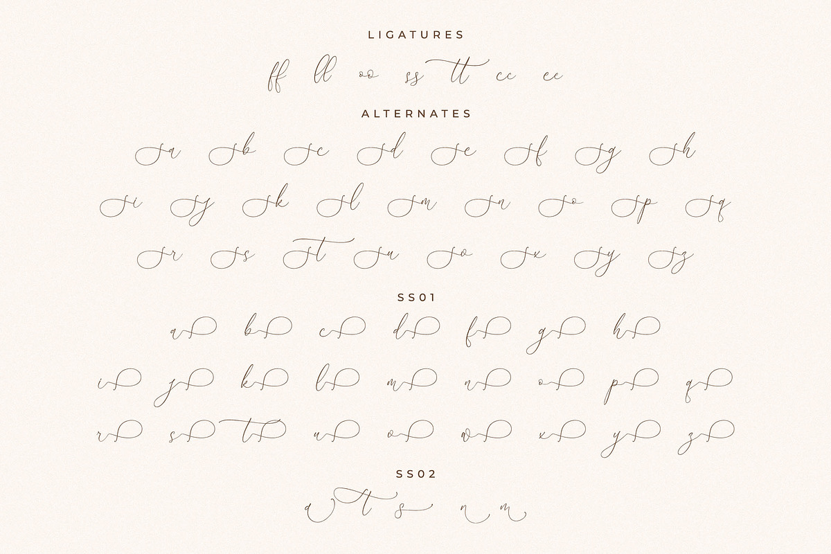 August Sterling Beauty Calligraphy, a Script Font by Storytype Studio (Photo 14 of 15)