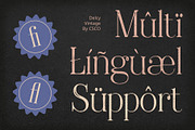 Delcy Vintage, a Serif Font by Craft Supply Co. (Thumbnail 8 of 8)