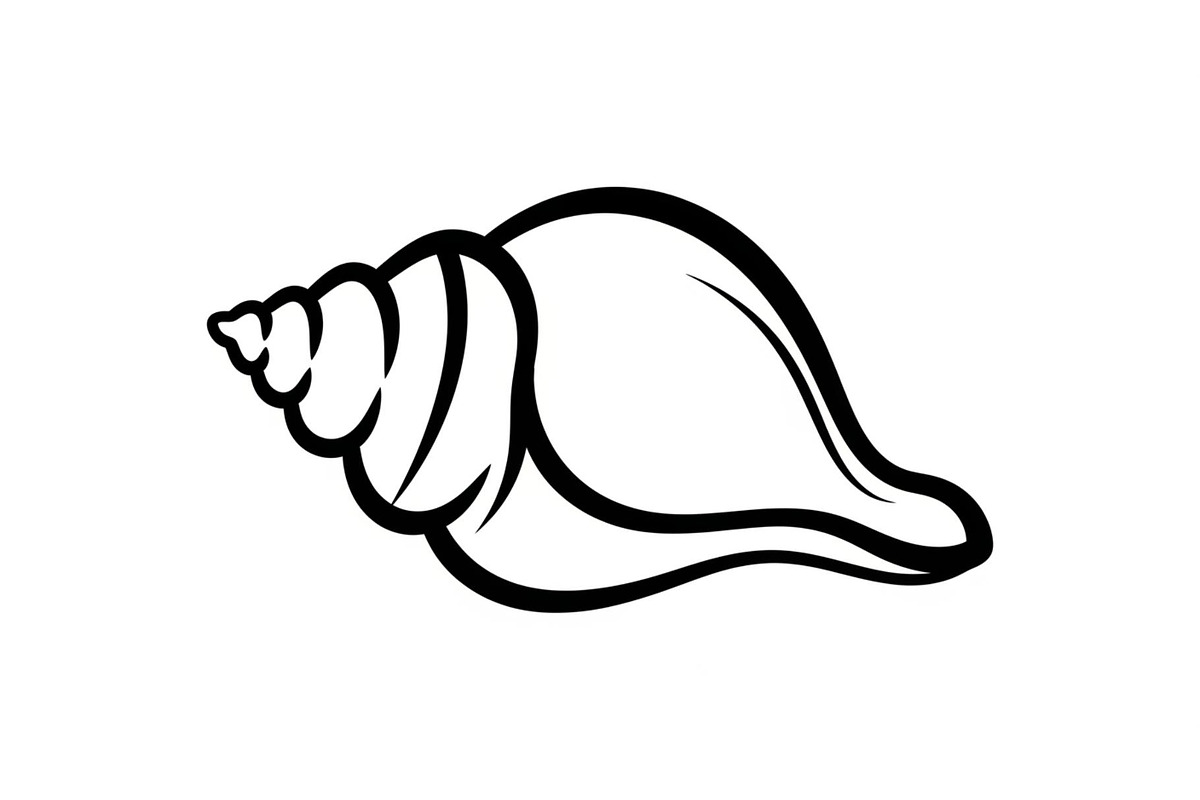 Shell Silhouette Vector Bundle, an Illustration by hafijul (Photo 17 of 48)
