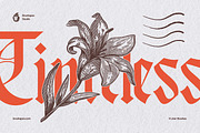 Timeless Engraving Photoshop Brushes, a Brush Add-On by brushapes.com (Thumbnail 9 of 13)