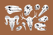 Different animals skulls, bones set, an Animal Illustration by PaperTrident (Thumbnail 2 of 3)