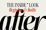 The Silver Editorial - 18 Fonts Pack, a Serif Font by SilverStag Type Foundry (Thumbnail 8 of 30)