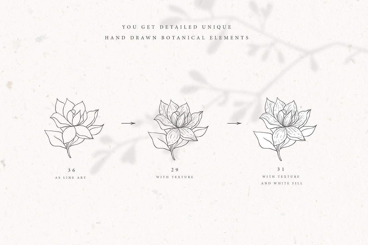 Botanical Alphabet & Monograms., a Decorative Illustration by Designwork (Photo 10 of 18)