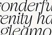 Begalia Serif - Elegant Typeface, a Serif Font by InkwellTypeCo (Thumbnail 3 of 14)