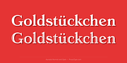 Aureata, a Serif Font by preussTYPE (Thumbnail 2 of 10)