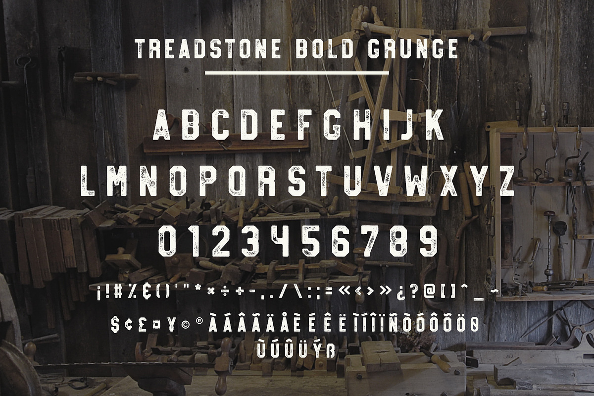 Treadstone - 8 Font Family, a Slab Serif Font by Greg Nicholls (Photo 12 of 16)