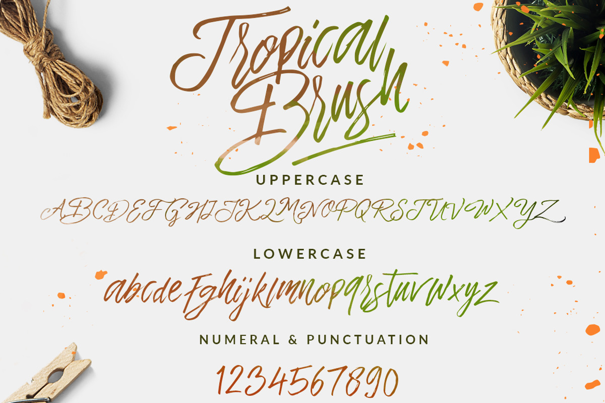 SALE !!! The Tropical - 5 Fonts, a Font by Dirtyline Studio (Photo 17 of 19)