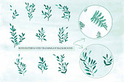 Forest Greenery Collection, an Illustration by Arie Clares (Thumbnail 6 of 6)