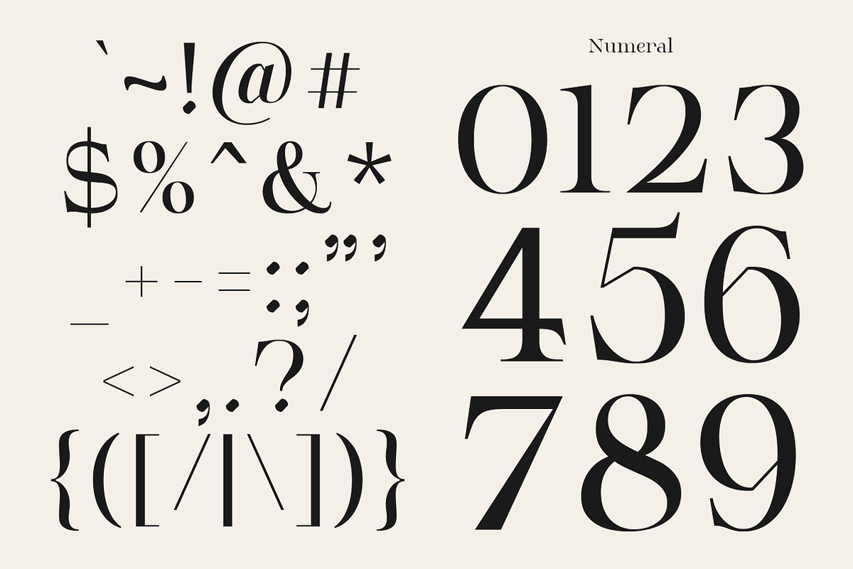 Serifant Family | Intro 50% OFF, a Serif Font by Lettertype Studio (Photo 14 of 15)