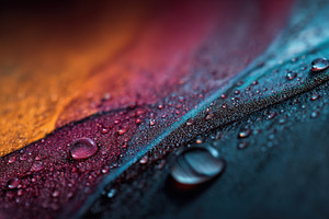 Colorful water droplets on surface, a Photo by Beautiful things