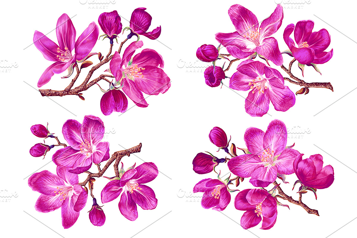 4 Apple Tree Flower Branches, an Illustration by MarynaPetrovska (Photo 2 of 14)