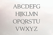 Adrina Modern Serif Font Family, a Serif Font by Symufa (Thumbnail 2 of 7)