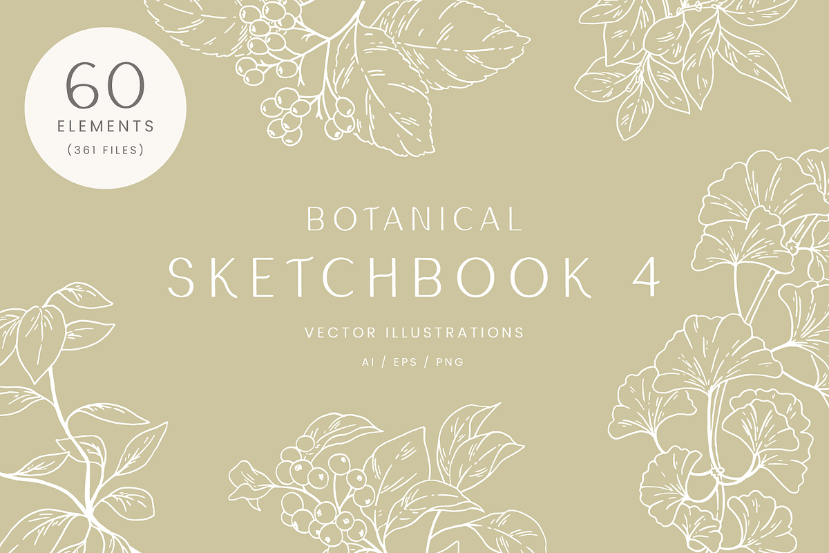 Botanical Sketch Vector Illustration, a Decorative Illustration by Emma Webb Studio (Photo 1 of 7)