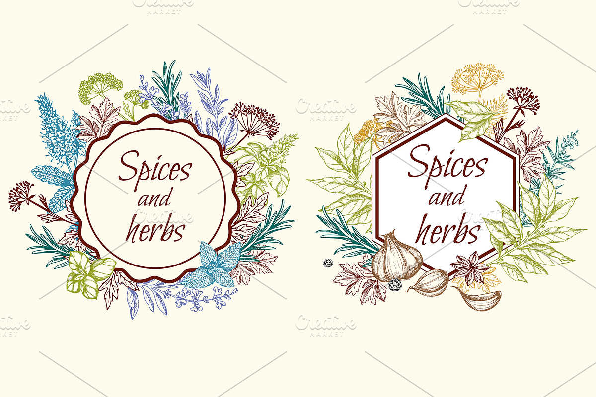 Vintage Spices and Herbs Design Kit, a Food Illustration by Artspace (Photo 4 of 8)