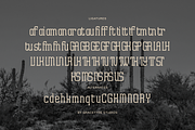 Archives Classic | Slab Serif Font, a Slab Serif Font by gracetype_studio (Thumbnail 12 of 12)
