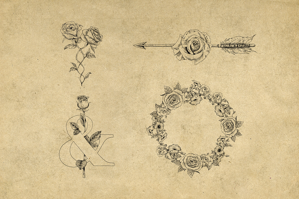 40 Vintage Floral Illustrations, an Illustration by Hatch Design Workshop (Photo 9 of 15)
