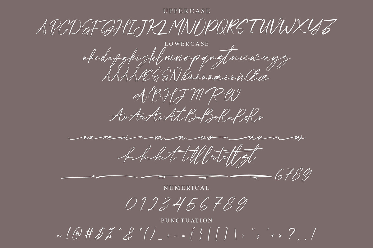 Malladive Handwritten Script Font, a Script Font by NTC Graphic (Photo 7 of 8)