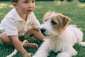 Young boy and loyal pet dog lying together on green grass, enjoy, a Person Photo by Studio ANNA