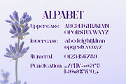 Lavender font luxuri, a Serif Font by DreamColor (Thumbnail 2 of 5)