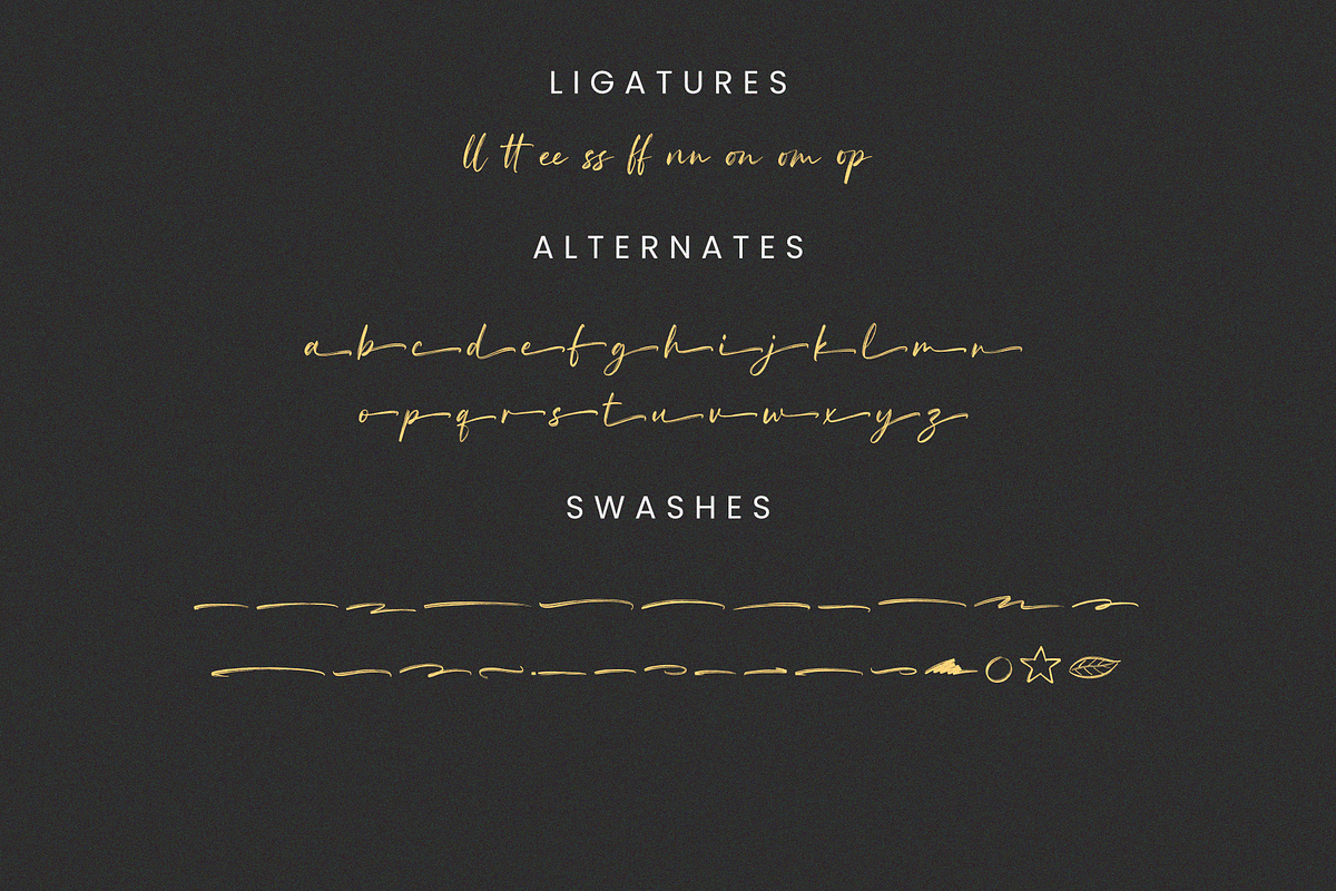 Roastland - Natural Brush Font, a Handwritten Font by Sibelumpagi Studio (Photo 10 of 10)