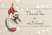 Christmas animals, an Animal Illustration by Mimomy (Thumbnail 11 of 11)