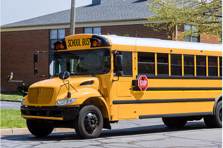 Yellow school bus for children, a Transportation Photo by Ungvar Studio