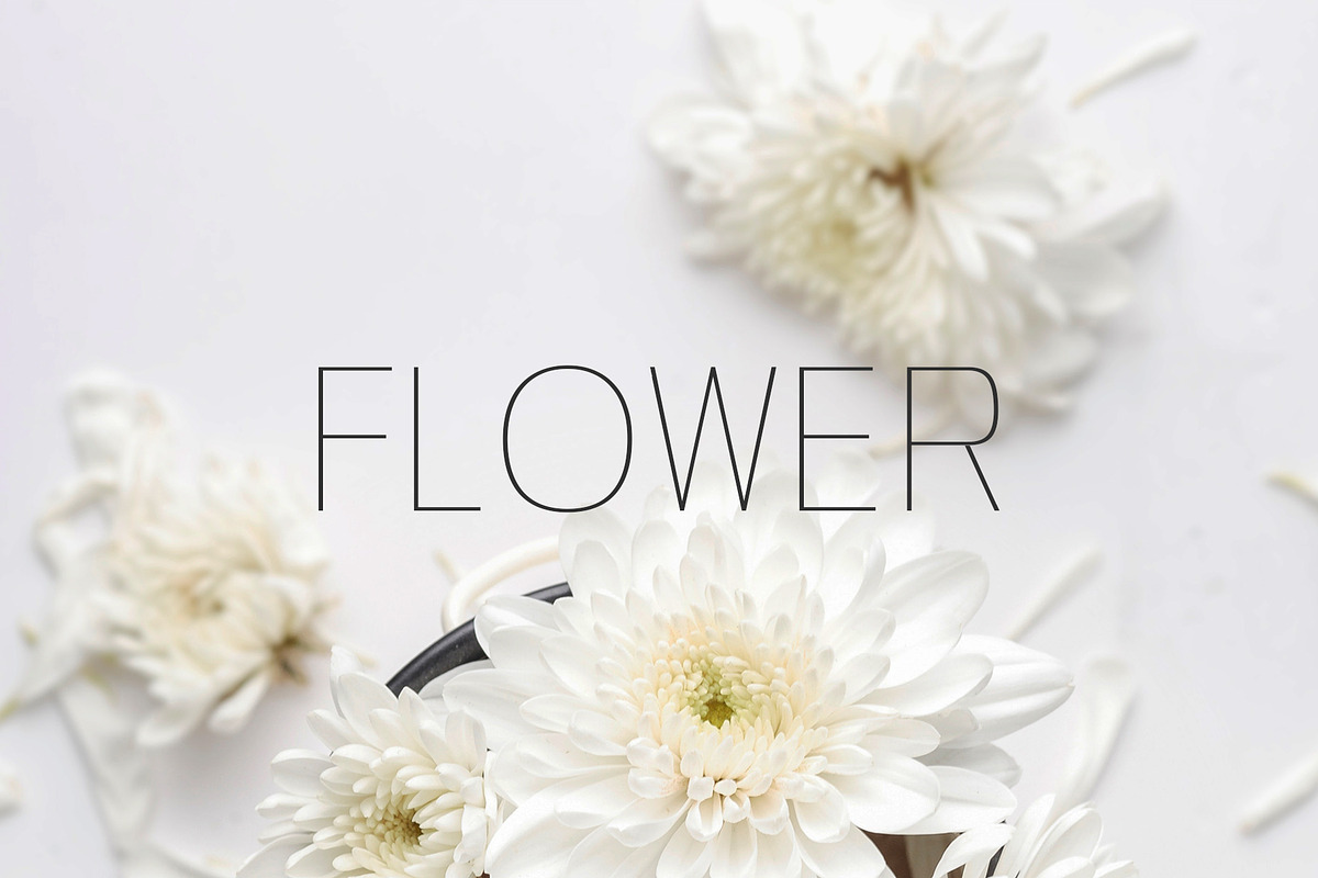 Zevida Sans Serif Font Family preview 6