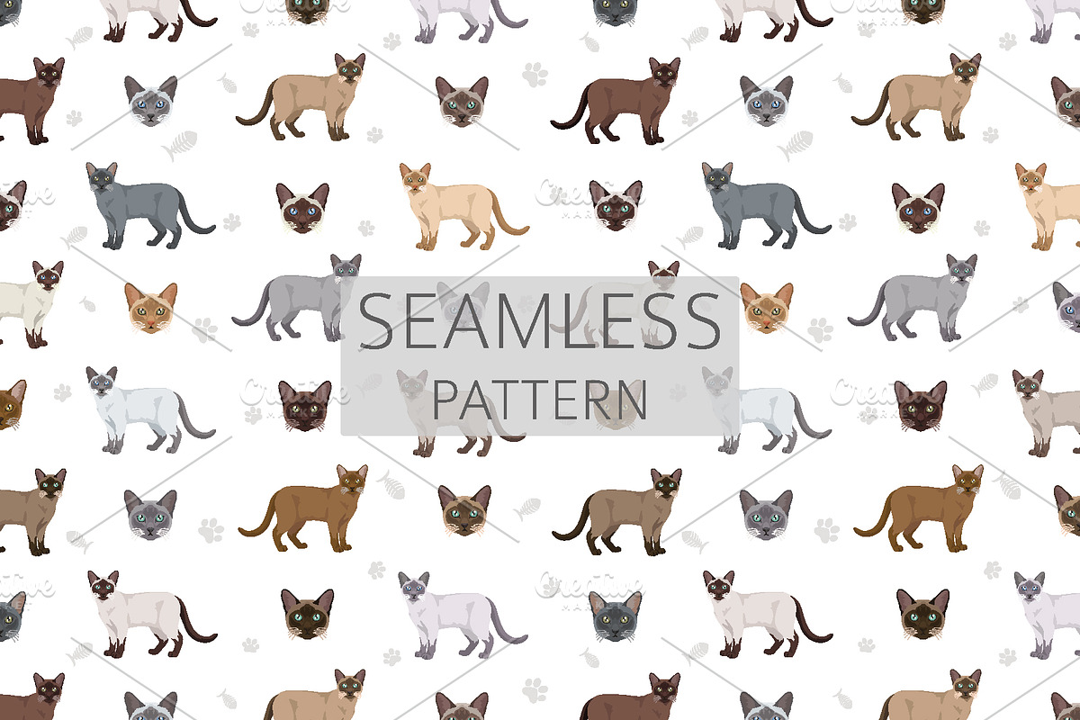 Tonkinese cat clip art, an Animal Illustration by pet design shop (Photo 5 of 5)