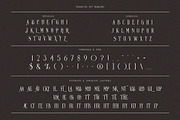 Dark Luna Vintage Condensed Serif, a Slab Serif Font by JumboDesign (Thumbnail 3 of 6)