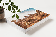 Morning Coffee Lifestyle Stock Photo, a Background Photo by Munopia (Thumbnail 4 of 6)