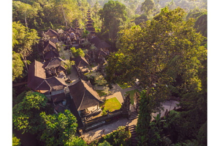 Aerial shot of the Pura Gunung Lebah, a Nature Photo by Elizaveta Galitskaya