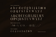 Thoren Elegant Serif Font, a Serif Font by Perfectype (Thumbnail 7 of 8)
