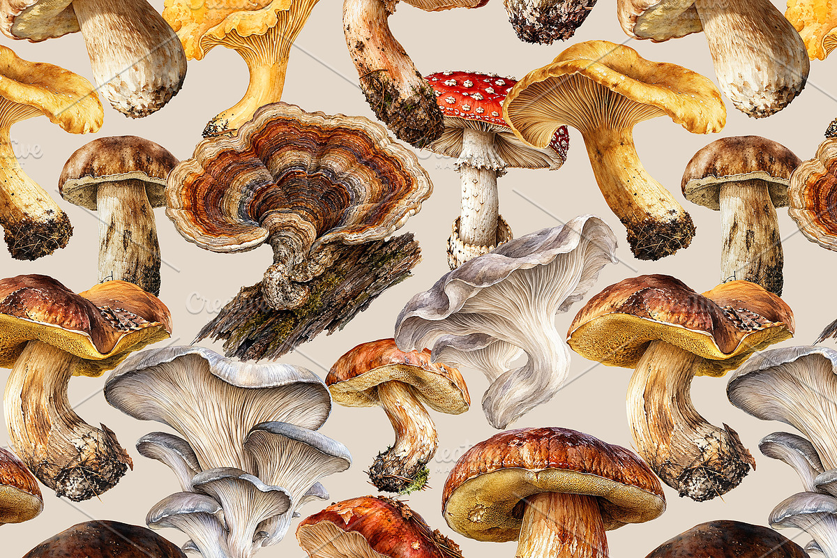 Mushroom seamless pattern, a Pattern Graphic by Elona Laff (Photo 2 of 4)