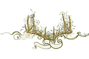 Deer antlers collection., an Animal Illustration by ArtOwl (Thumbnail 8 of 8)
