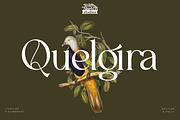 Quelgira - Serif Typeface Font, a Serif Font by Rishsketch (Thumbnail 1 of 15)