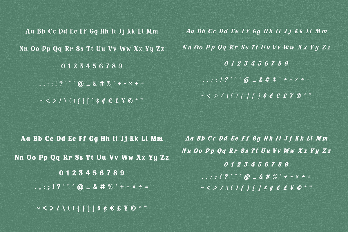 Vintage serif font - Classic Eve, a Serif Font by ZoloDesignHub (Photo 4 of 11)