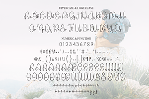 Adventure Script Font