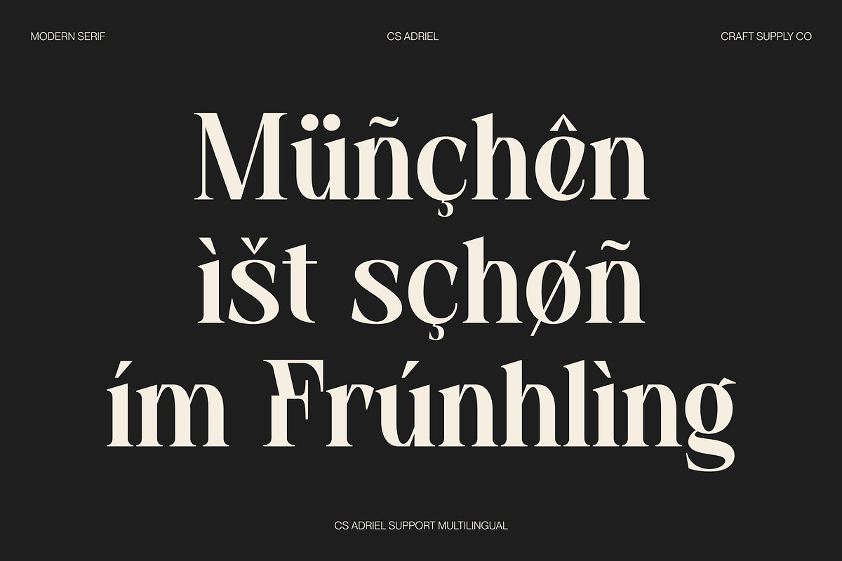 CS Adriel – Modern Serif Font, a Serif Font by Craft Supply Co. (Photo 7 of 8)