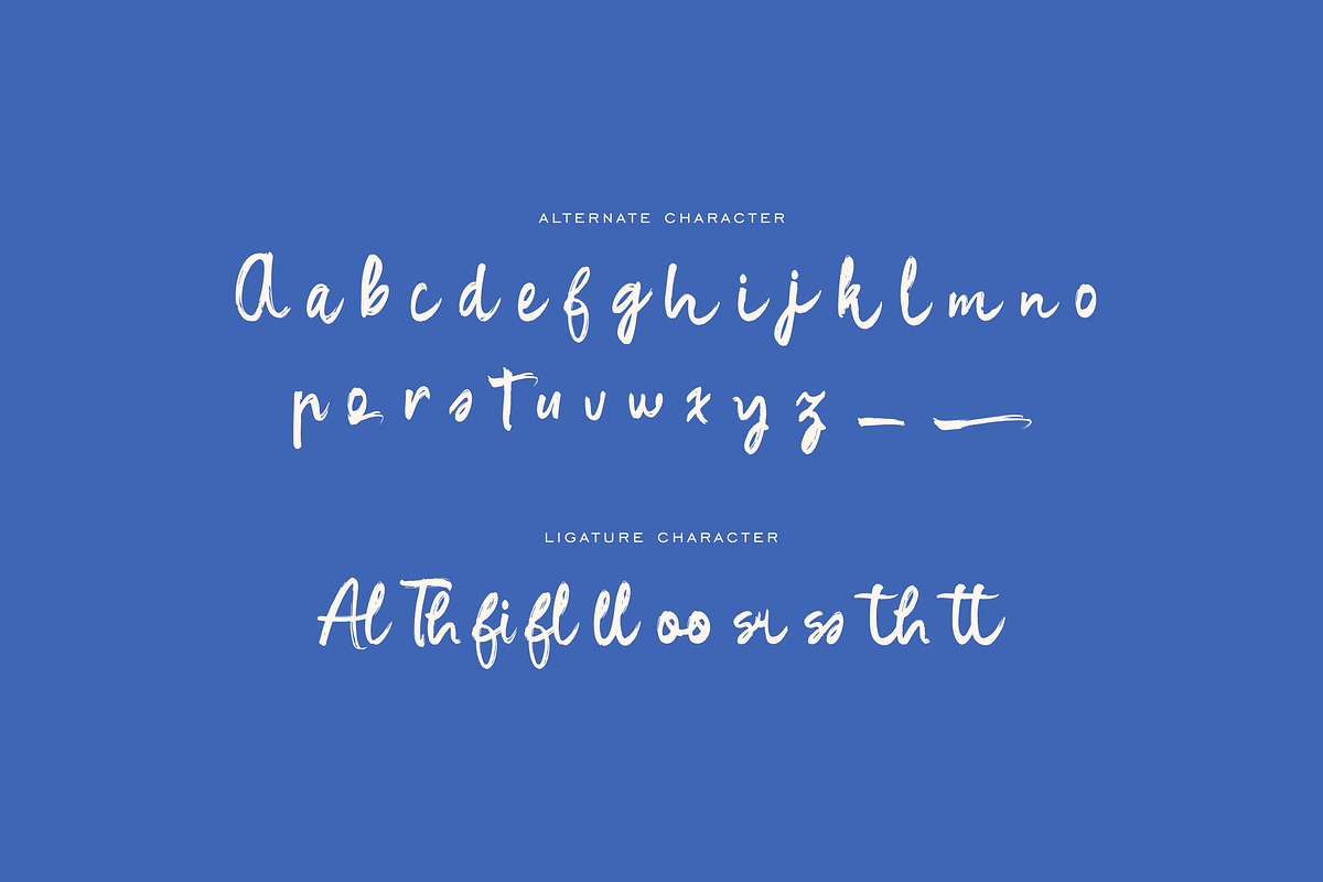 Magnificent Handwriting Script Font, a Script Font by Imoodev (Photo 6 of 6)