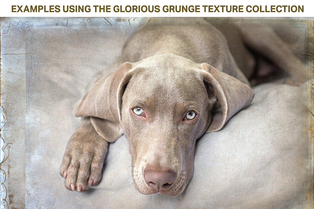 Glorious Grunge Textures, a Texture Graphic by French Kiss Collections (Photo 3 of 5)
